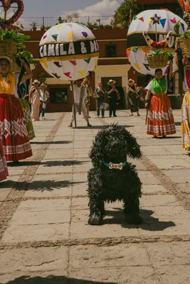 Piñata personalizada de perro Charlie en una calenda tradicional organizada por una experta Wedding Planner Oaxaca.